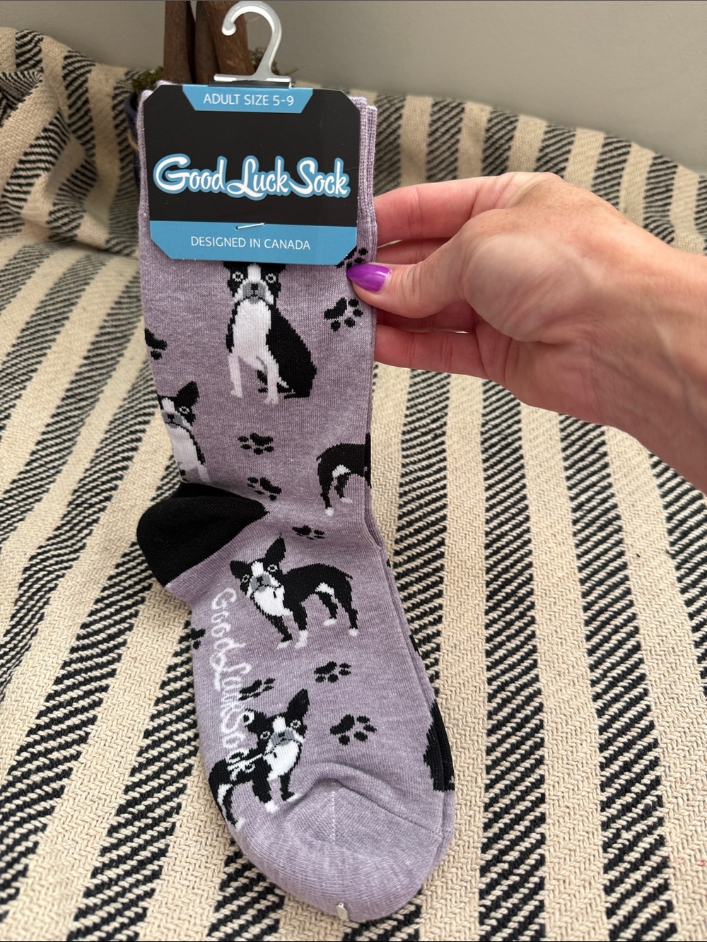 Women’s  Purple Boston Terrier Crew Socks